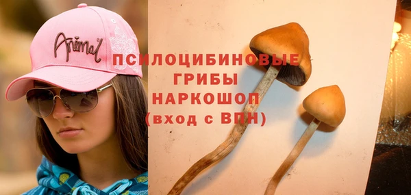 mdpv Алзамай