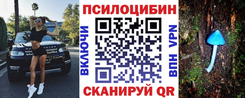 Псилоцибиновые грибы Cubensis  блэк спрут ссылка  Сосновка  где можно купить наркотик 